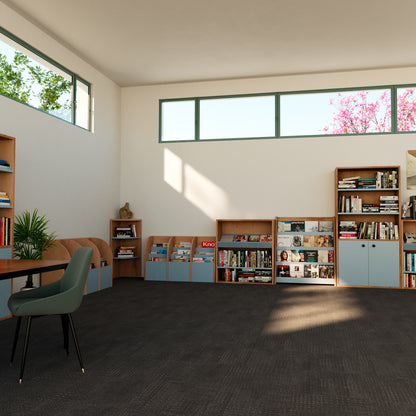 The Dahl Collection Bookshelf